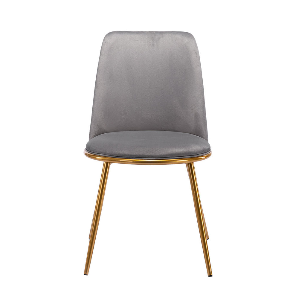 Gray And Gold Upholstered Velvet Dining Side Chair By Homeroots | Dining Chairs | Modishstore - 6
