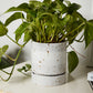 La Jolla Pot Set of 4 By Accent Decor | Planters, Troughs & Cachepots | Modishstore - 6