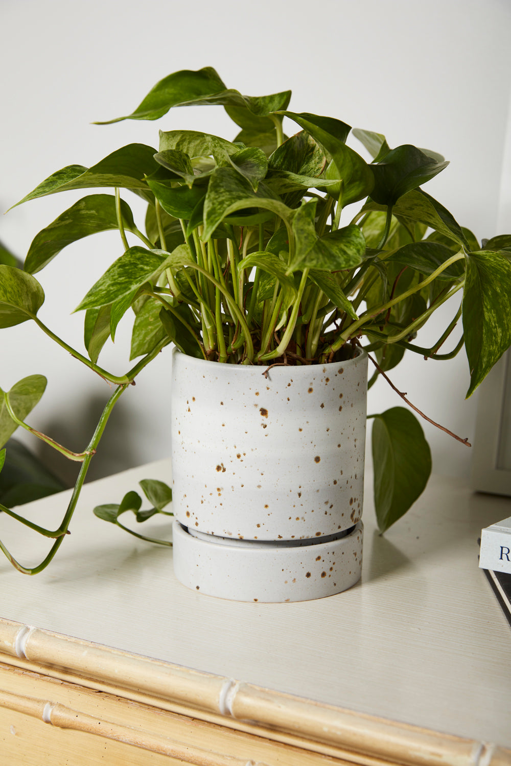 La Jolla Pot Set of 4 By Accent Decor | Planters, Troughs & Cachepots | Modishstore - 6