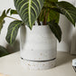 La Jolla Pot Set of 4 By Accent Decor | Planters, Troughs & Cachepots | Modishstore - 8