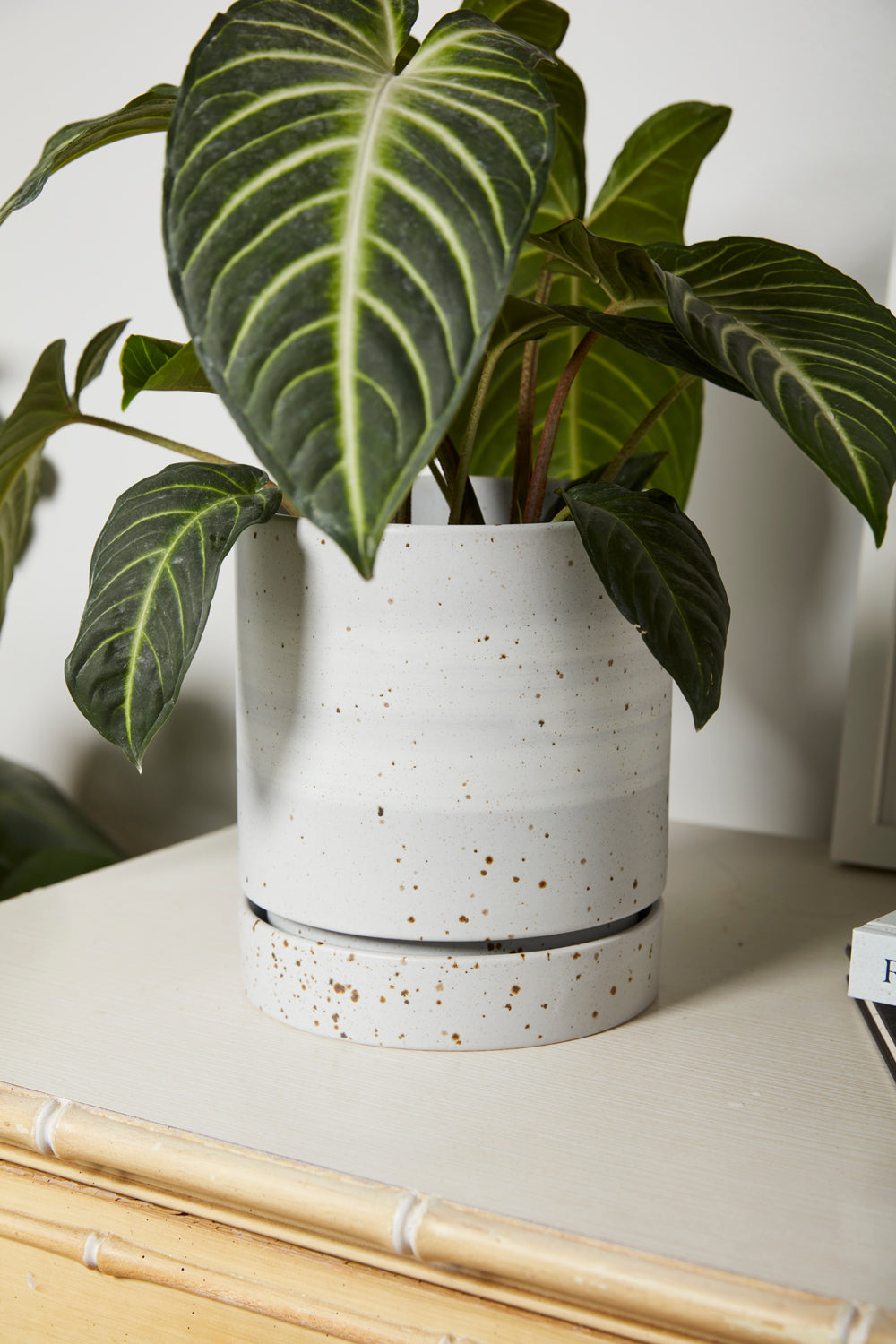 La Jolla Pot Set of 4 By Accent Decor | Planters, Troughs & Cachepots | Modishstore - 8