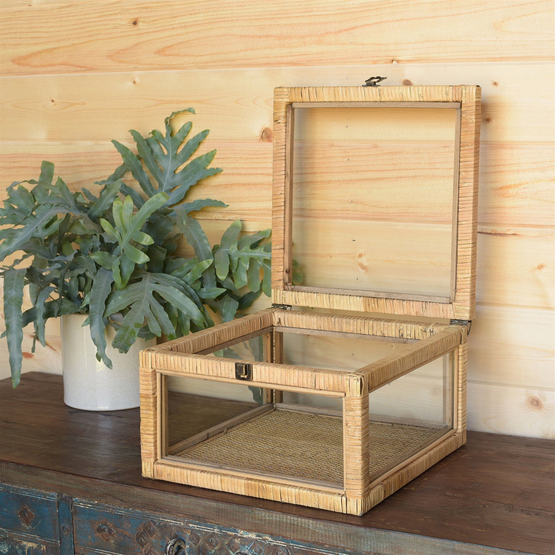 Cayman Rattan and Glass Case By HomArt | Display Cases | Modishstore - 1