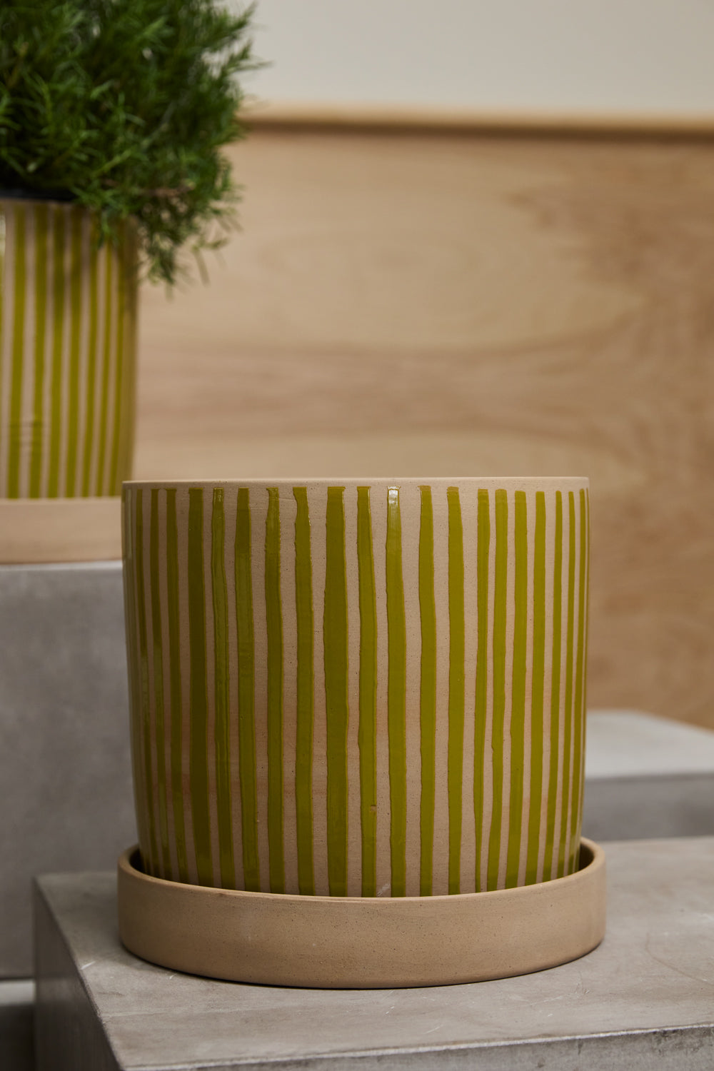 Sullivan Pot with Saucer By Accent Decor | Stands | Modishstore - 6