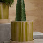 Sullivan Pot with Saucer By Accent Decor | Stands | Modishstore - 4