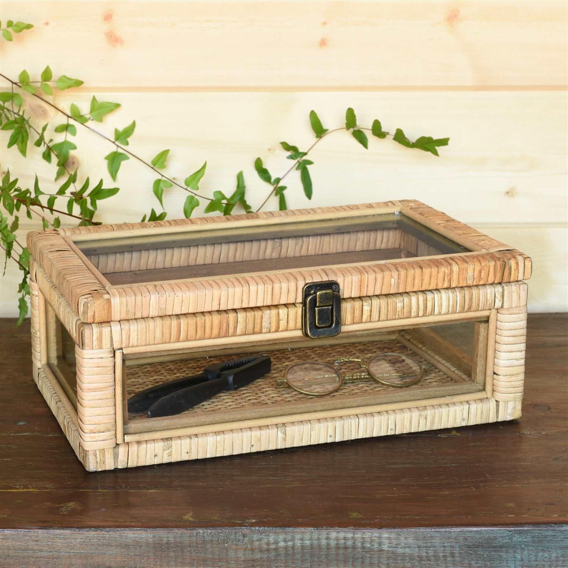 Cayman Case, Rattan - Rectangle - Natural By HomArt | Display Cases | Modishstore - 3