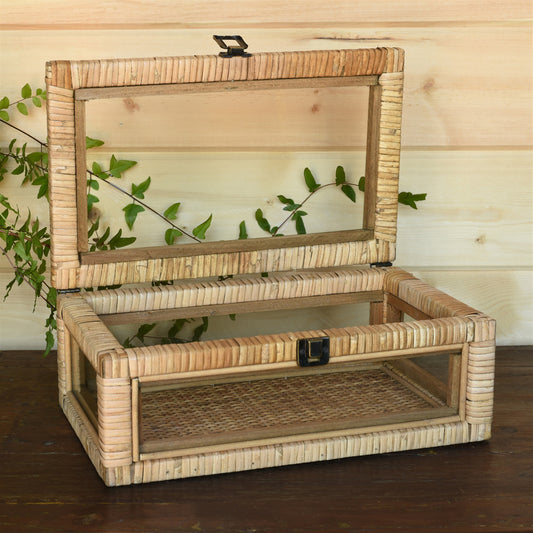 Cayman Case, Rattan - Rectangle - Natural By HomArt | Display Cases | Modishstore - 1