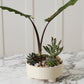 Hailey Footed Bowl By Accent Decor | Decorative Bowls | Modishstore - 9