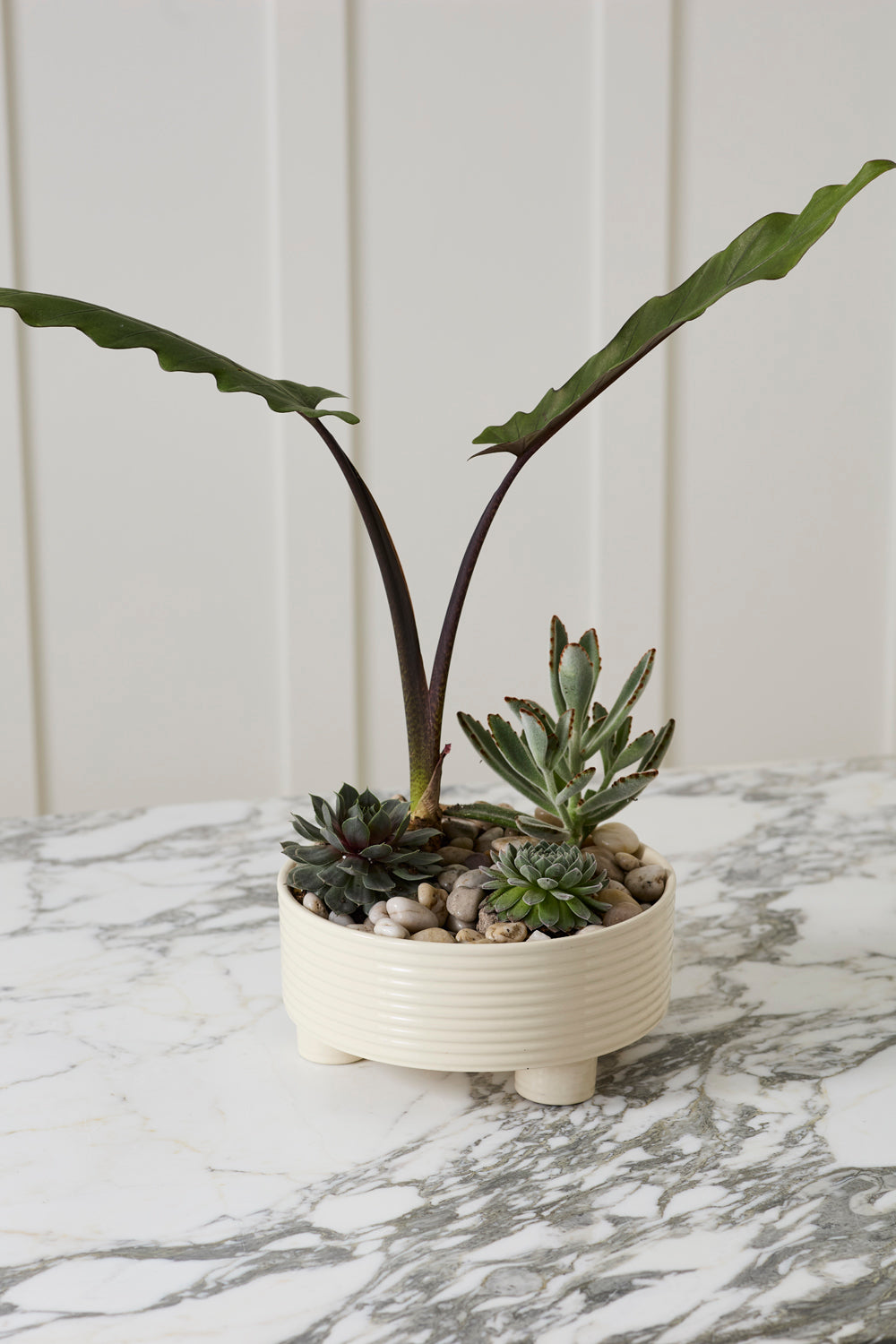 Hailey Footed Bowl By Accent Decor | Decorative Bowls | Modishstore - 9