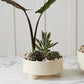 Hailey Footed Bowl By Accent Decor | Decorative Bowls | Modishstore - 10