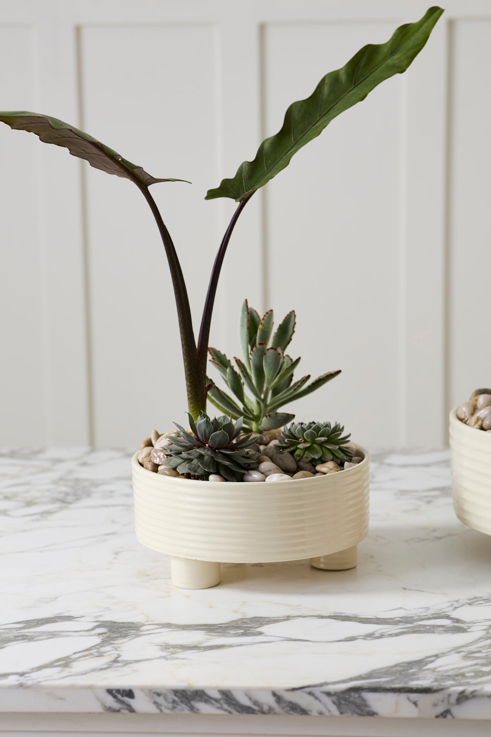 Hailey Footed Bowl By Accent Decor | Decorative Bowls | Modishstore - 10
