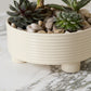 Hailey Footed Bowl By Accent Decor | Decorative Bowls | Modishstore - 11