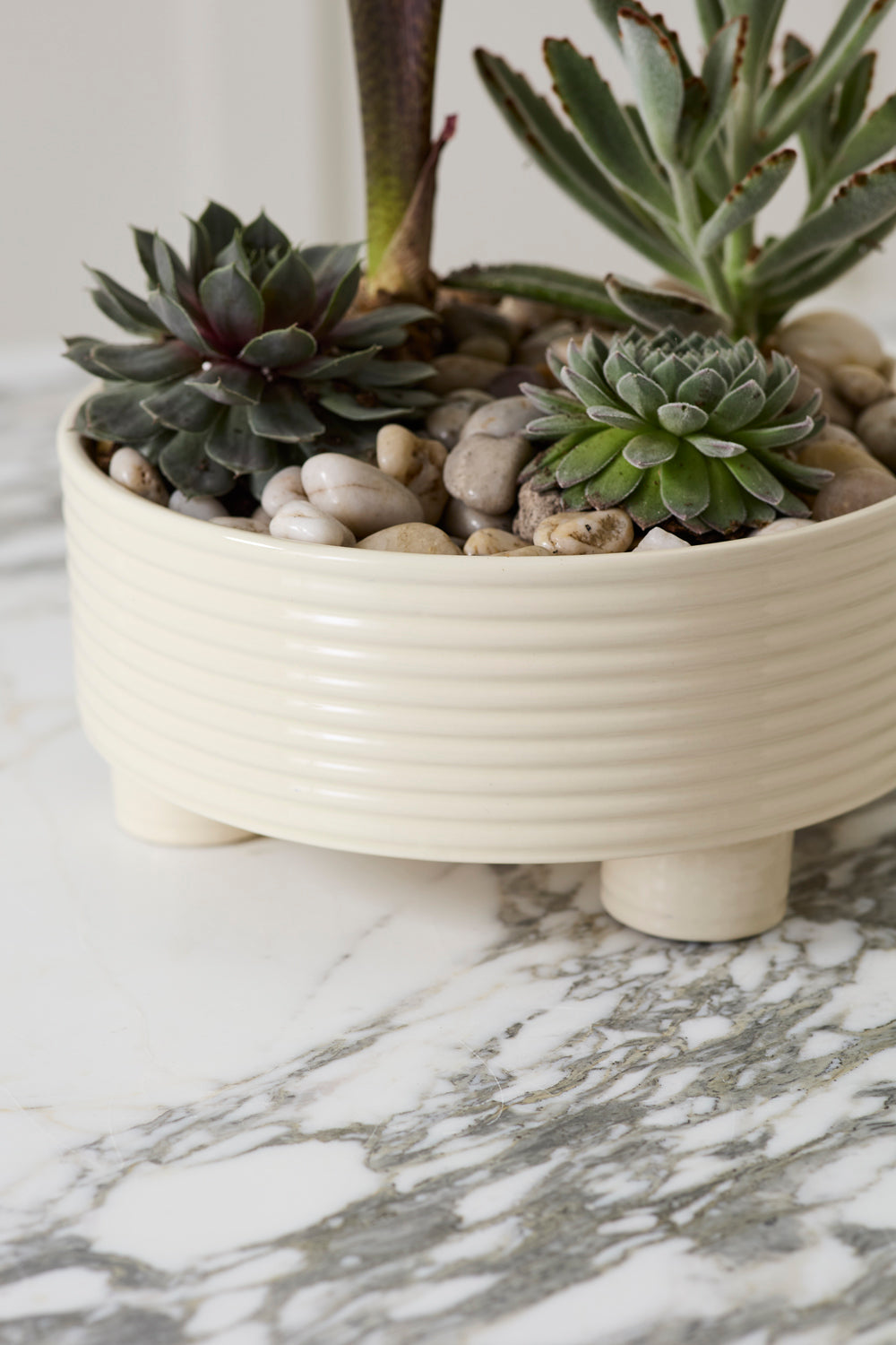 Hailey Footed Bowl By Accent Decor | Decorative Bowls | Modishstore - 11