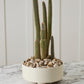 Hailey Footed Bowl By Accent Decor | Decorative Bowls | Modishstore - 6