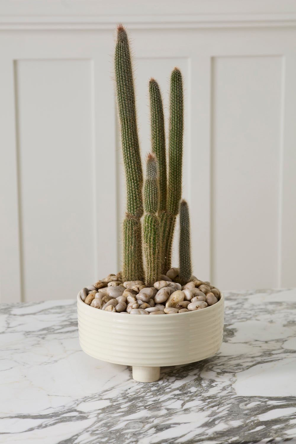 Hailey Footed Bowl By Accent Decor | Decorative Bowls | Modishstore - 6