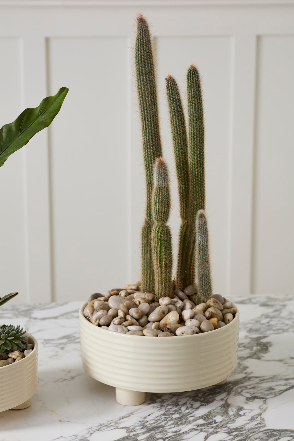 Hailey Footed Bowl By Accent Decor | Decorative Bowls | Modishstore - 7