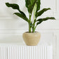 Soren Pot By Accent Decor | Wall Decor | Modishstore - 5