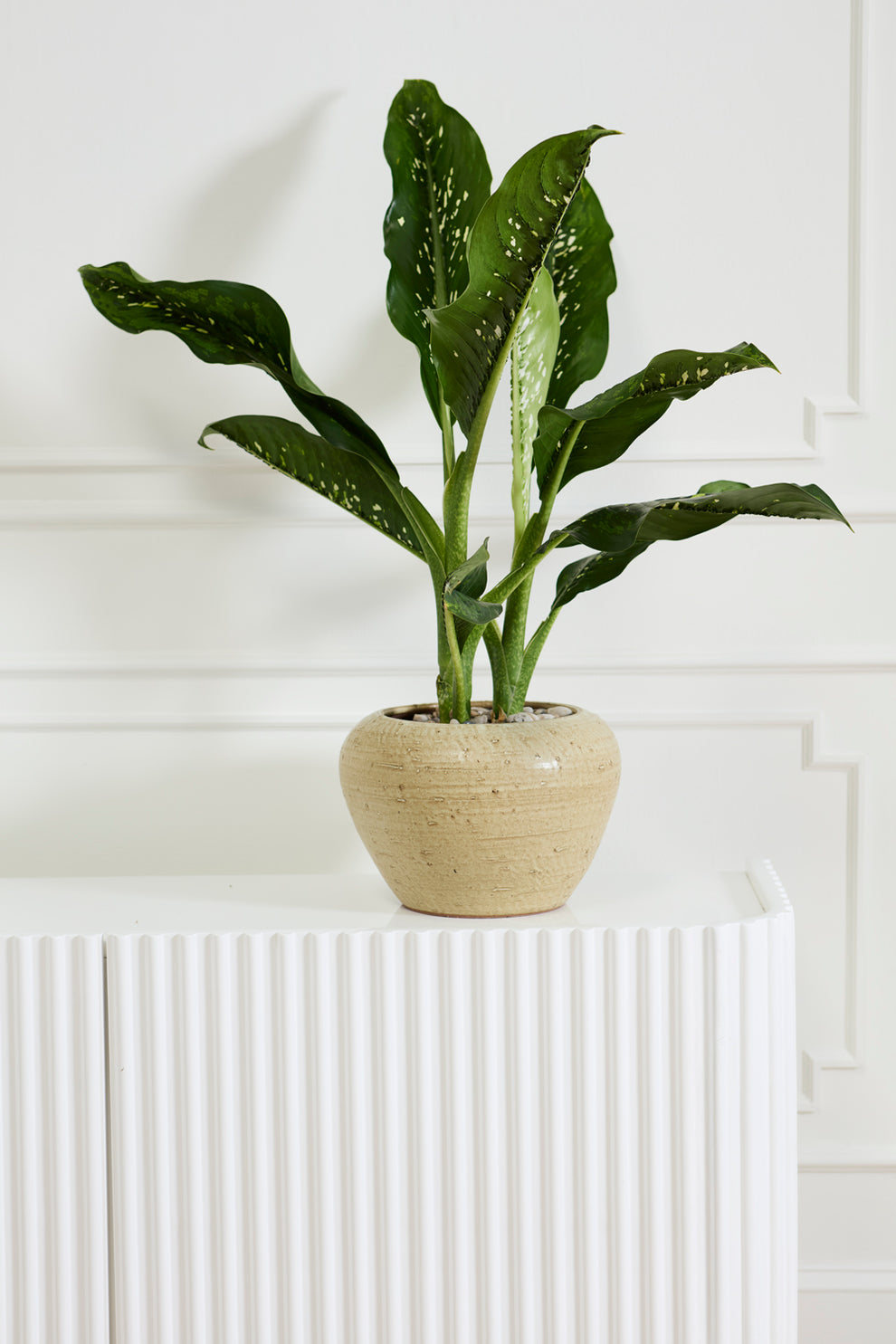 Soren Pot By Accent Decor | Wall Decor | Modishstore - 5