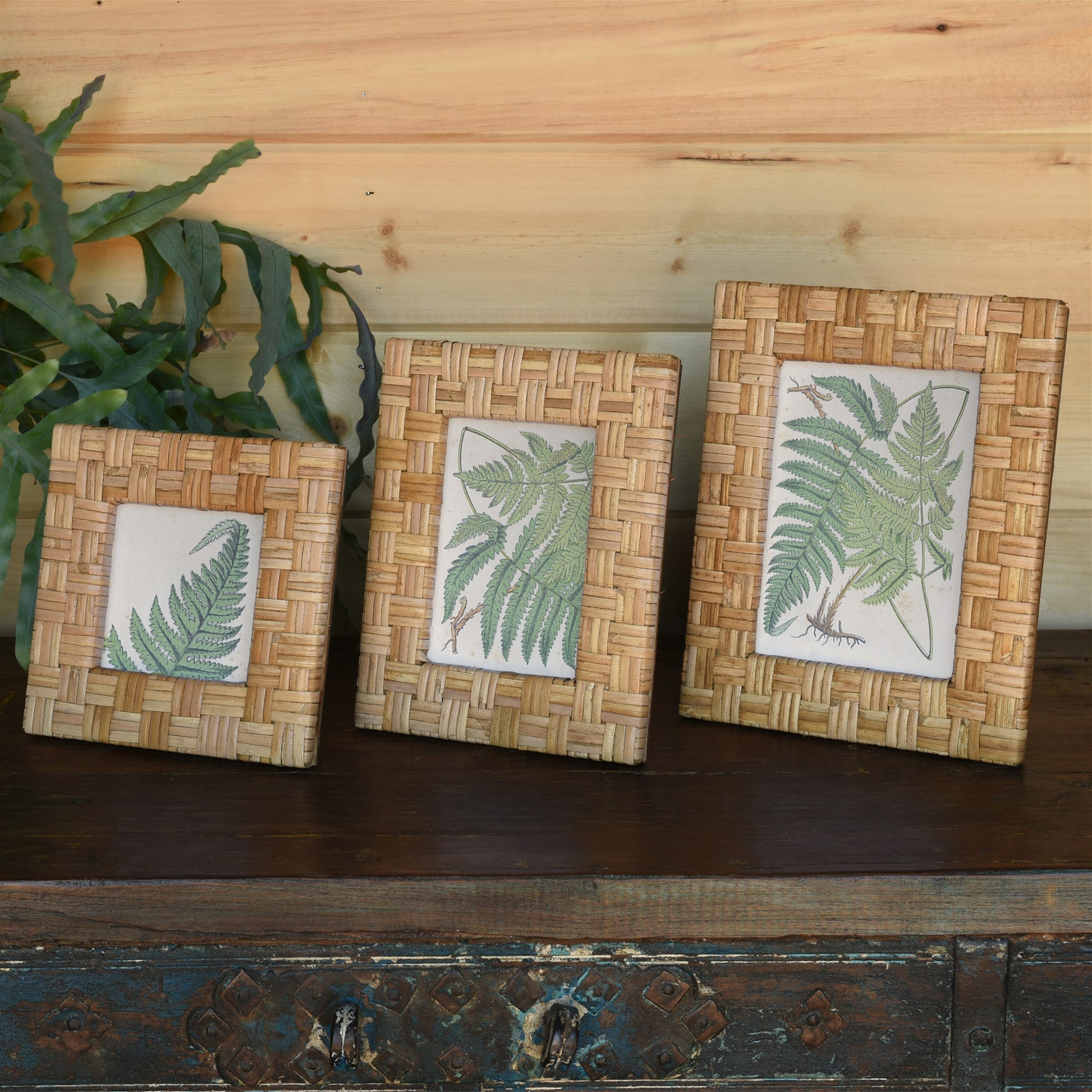 Cayman Frame, Rattan - 4x4 - Natural Set Of 4 By HomArt | Frames | Modishstore - 6