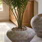 Angelou Planter By Accent Decor | Planters, Troughs & Cachepots | Modishstore - 6