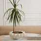 Isandro Bowl By Accent Decor | Decorative Bowls | Modishstore - 7
