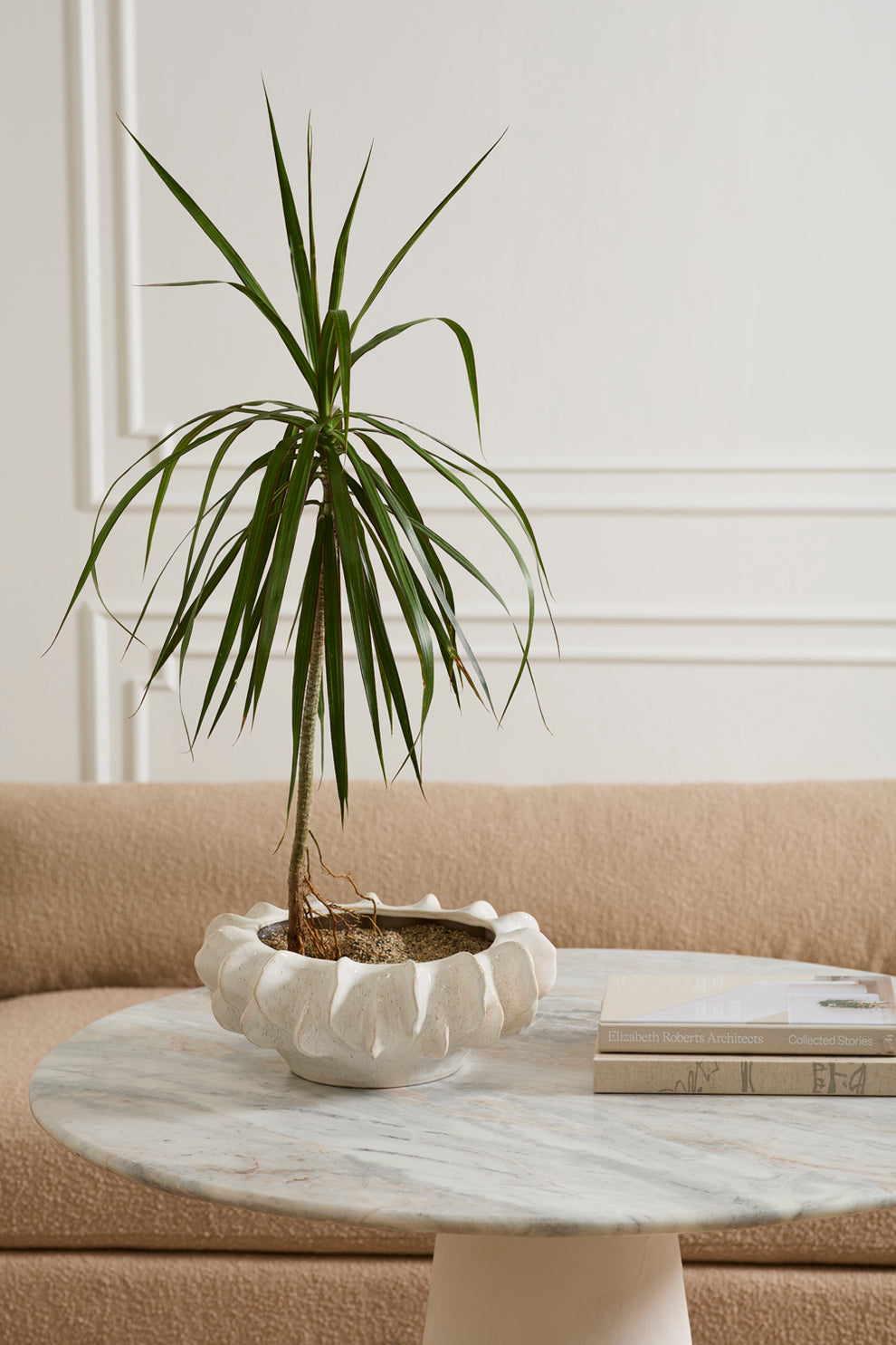 Isandro Bowl By Accent Decor | Decorative Bowls | Modishstore - 7