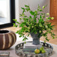 Toluca Tray By Accent Decor | Decorative Bowls | Modishstore - 12