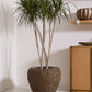 Nazim Planter By Accent Decor | Planters, Troughs & Cachepots | Modishstore - 4