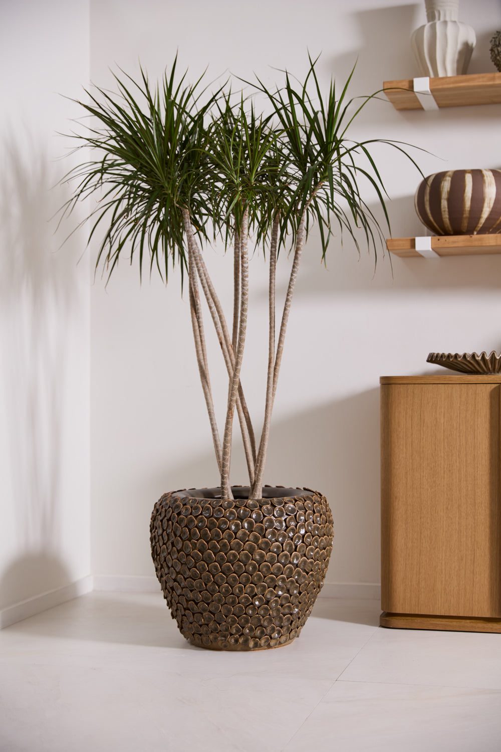 Nazim Planter By Accent Decor | Planters, Troughs & Cachepots | Modishstore - 4