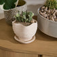 Highland Pot with Saucer Set of 4 By Accent Decor | Planters, Troughs & Cachepots | Modishstore - 7