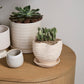 Highland Pot with Saucer Set of 4 By Accent Decor | Planters, Troughs & Cachepots | Modishstore - 8