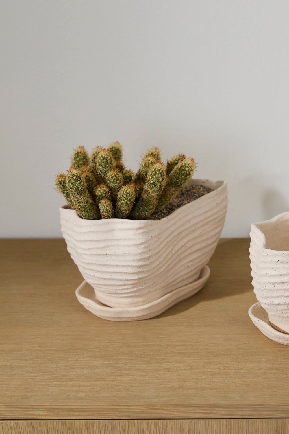 Highland Pot with Saucer Set of 4 By Accent Decor | Planters, Troughs & Cachepots | Modishstore - 12