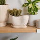 Highland Pot with Saucer Set of 4 By Accent Decor | Planters, Troughs & Cachepots | Modishstore - 13