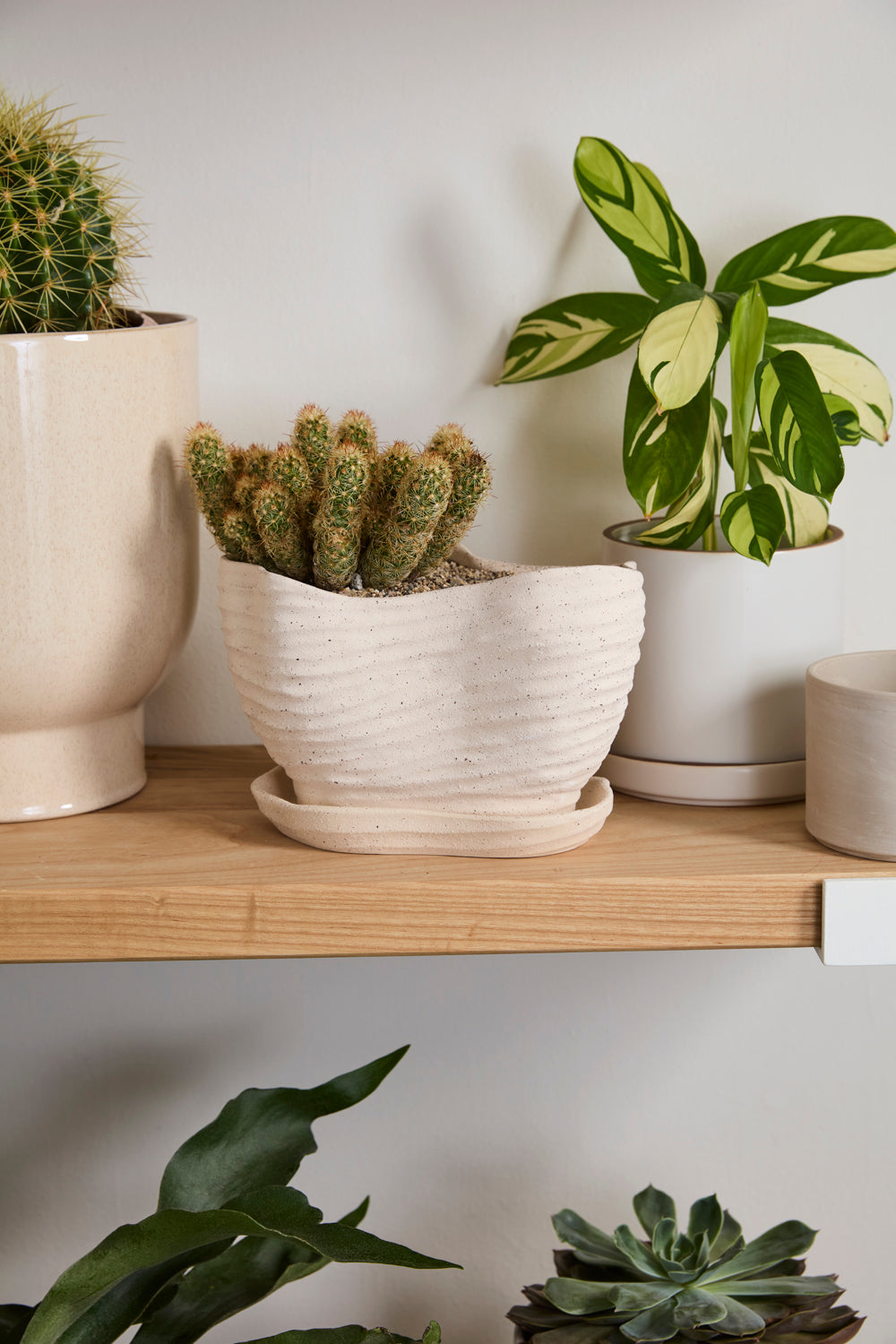 Highland Pot with Saucer Set of 4 By Accent Decor | Planters, Troughs & Cachepots | Modishstore - 13
