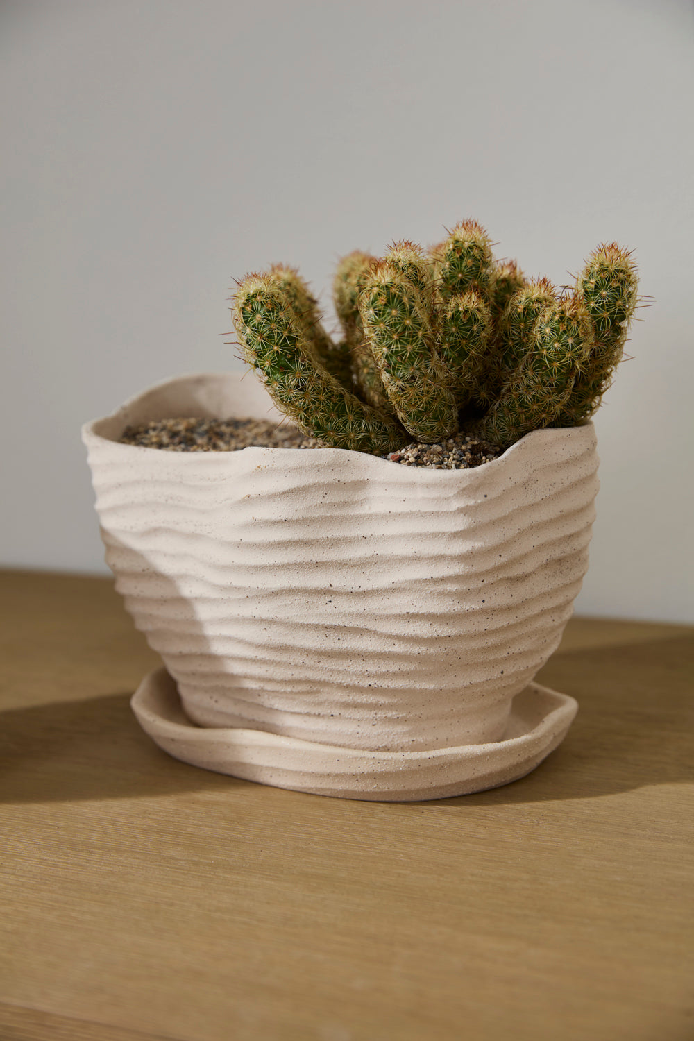Highland Pot with Saucer Set of 4 By Accent Decor | Planters, Troughs & Cachepots | Modishstore - 14