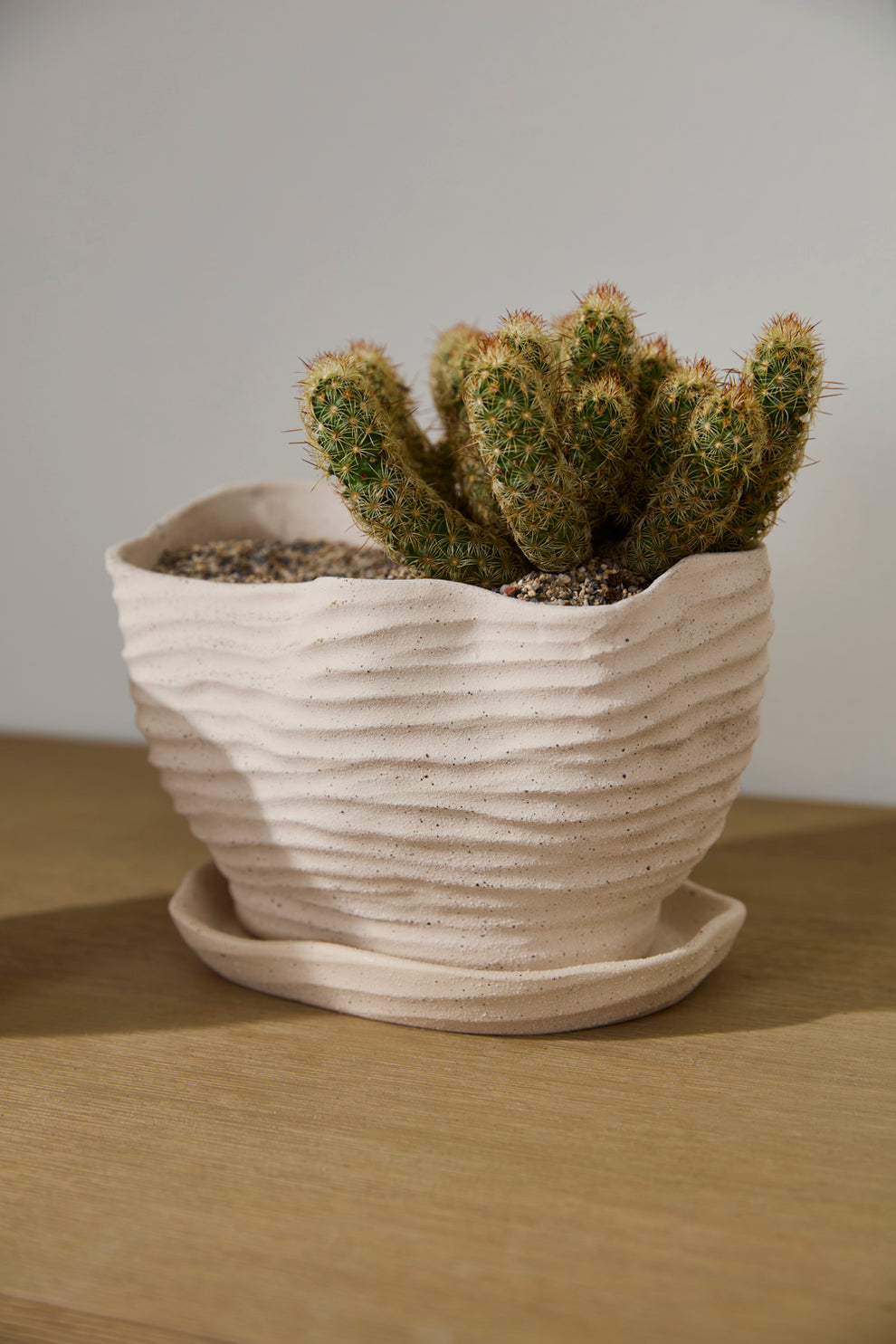 Highland Pot with Saucer Set of 4 By Accent Decor | Planters, Troughs & Cachepots | Modishstore - 14