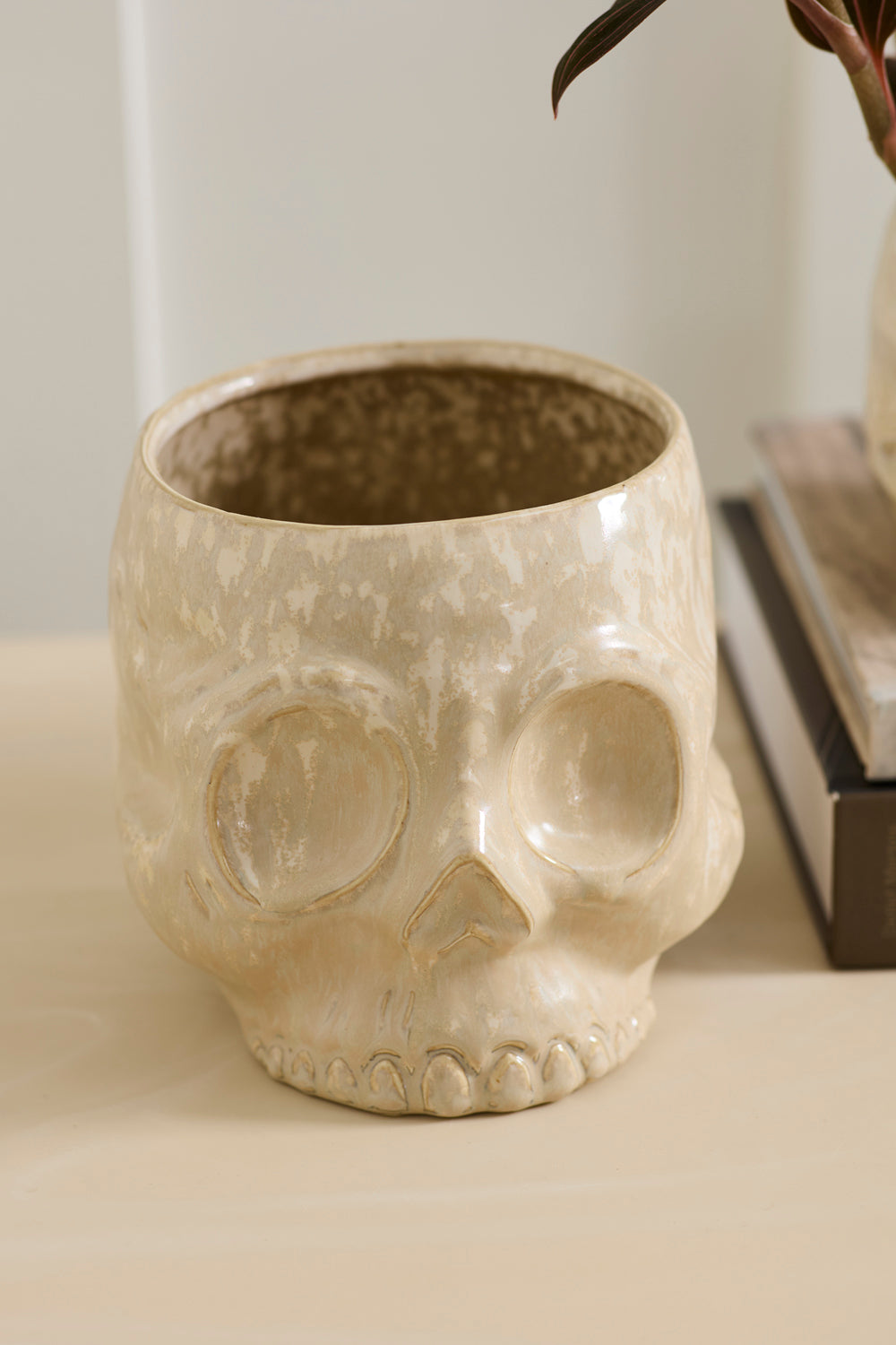 Haunting Skull Pot Set of 2 By Accent Decor | Planters, Troughs & Cachepots | Modishstore - 7