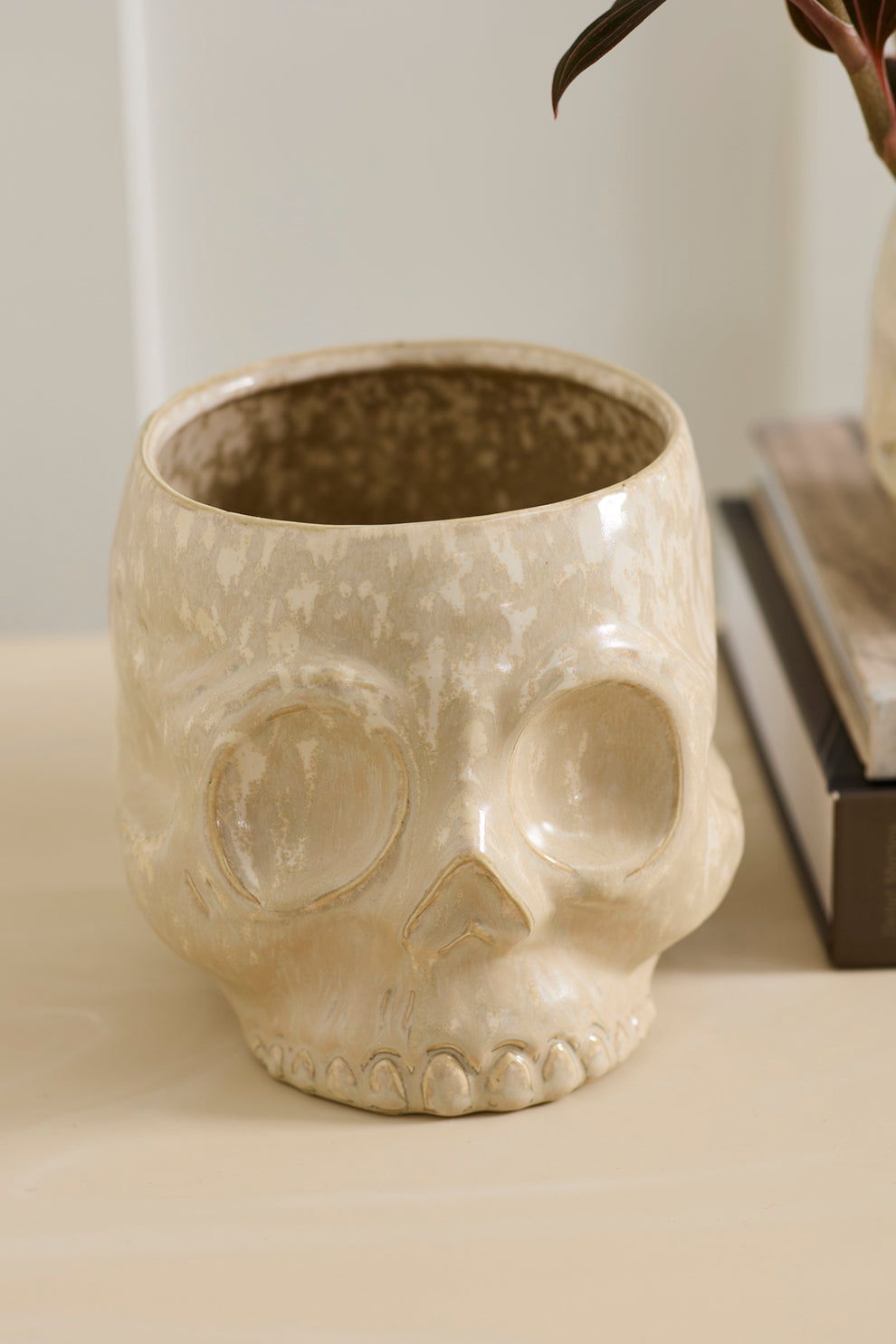 Haunting Skull Pot Set of 2 By Accent Decor | Planters, Troughs & Cachepots | Modishstore - 7