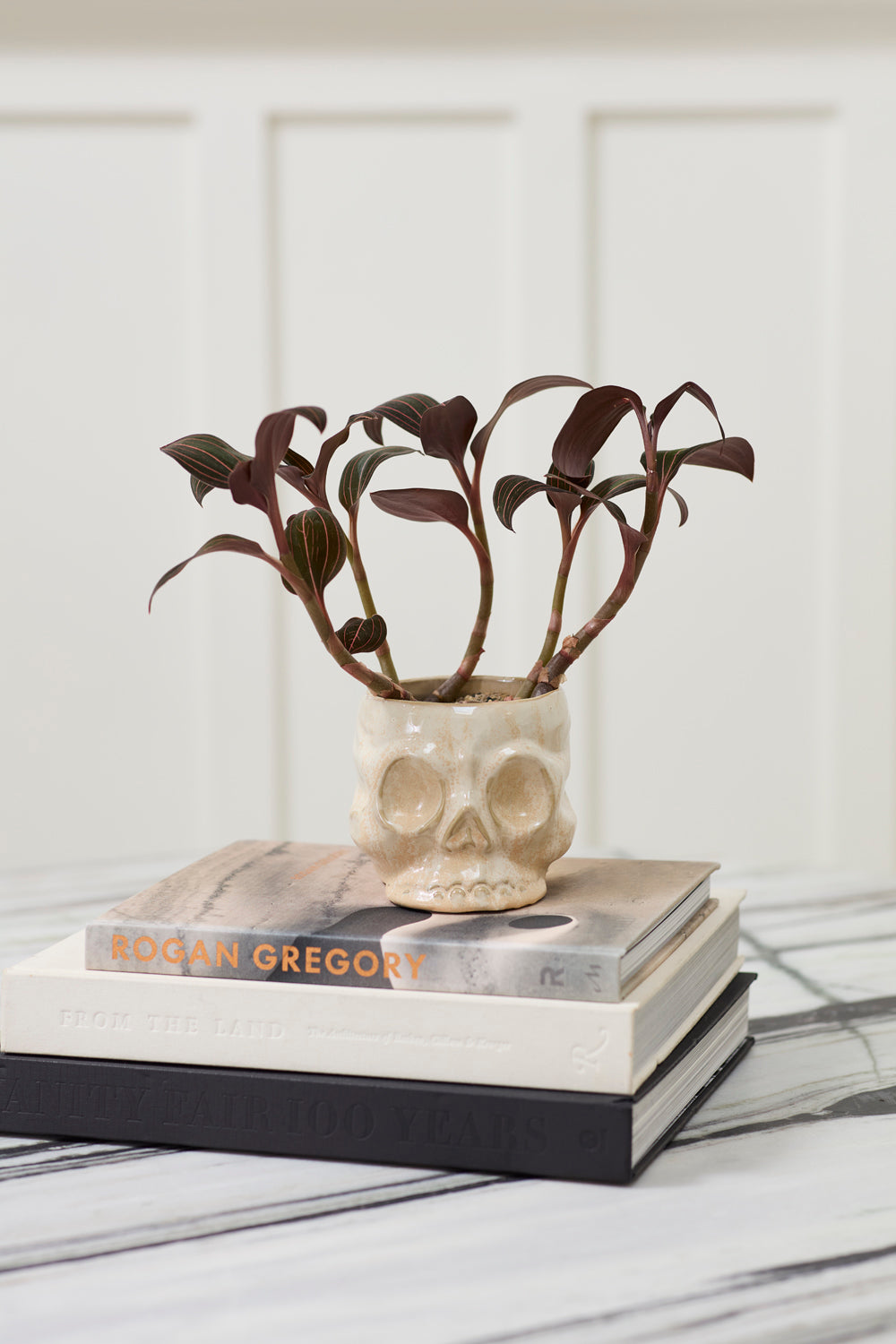 Haunting Skull Pot Set of 2 By Accent Decor | Planters, Troughs & Cachepots | Modishstore - 12