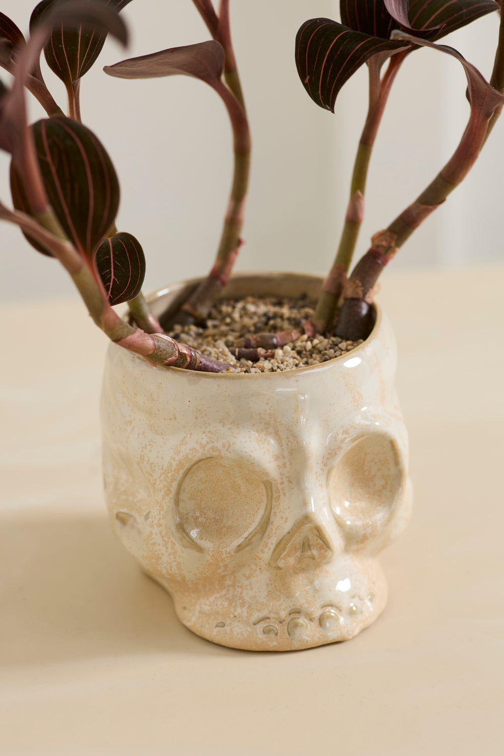 Haunting Skull Pot Set of 2 By Accent Decor | Planters, Troughs & Cachepots | Modishstore - 11