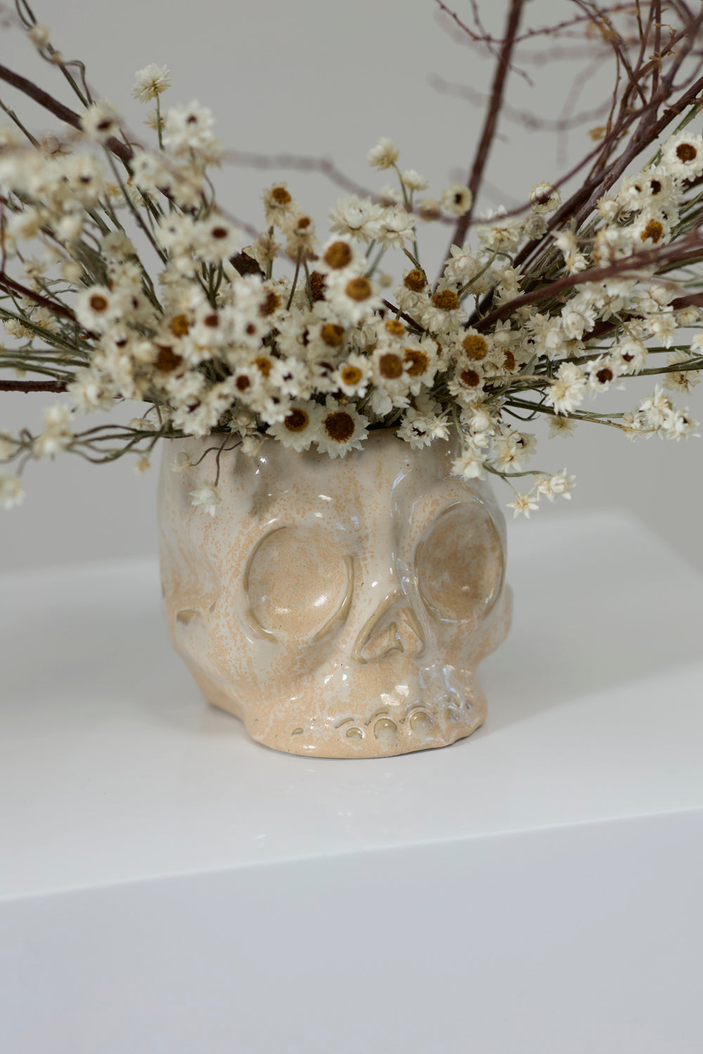 Haunting Skull Pot Set of 2 By Accent Decor | Planters, Troughs & Cachepots | Modishstore - 10