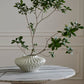 Ilaria Vase By Accent Decor | Vases | Modishstore - 14
