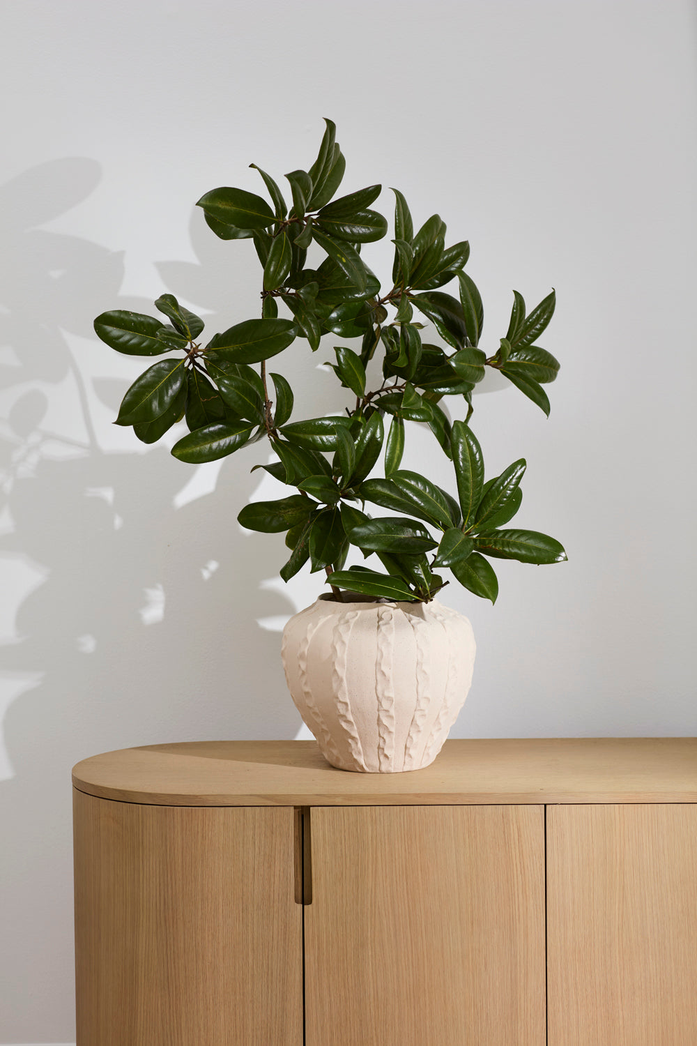 Argos Vase By Accent Decor | Vases | Modishstore - 7