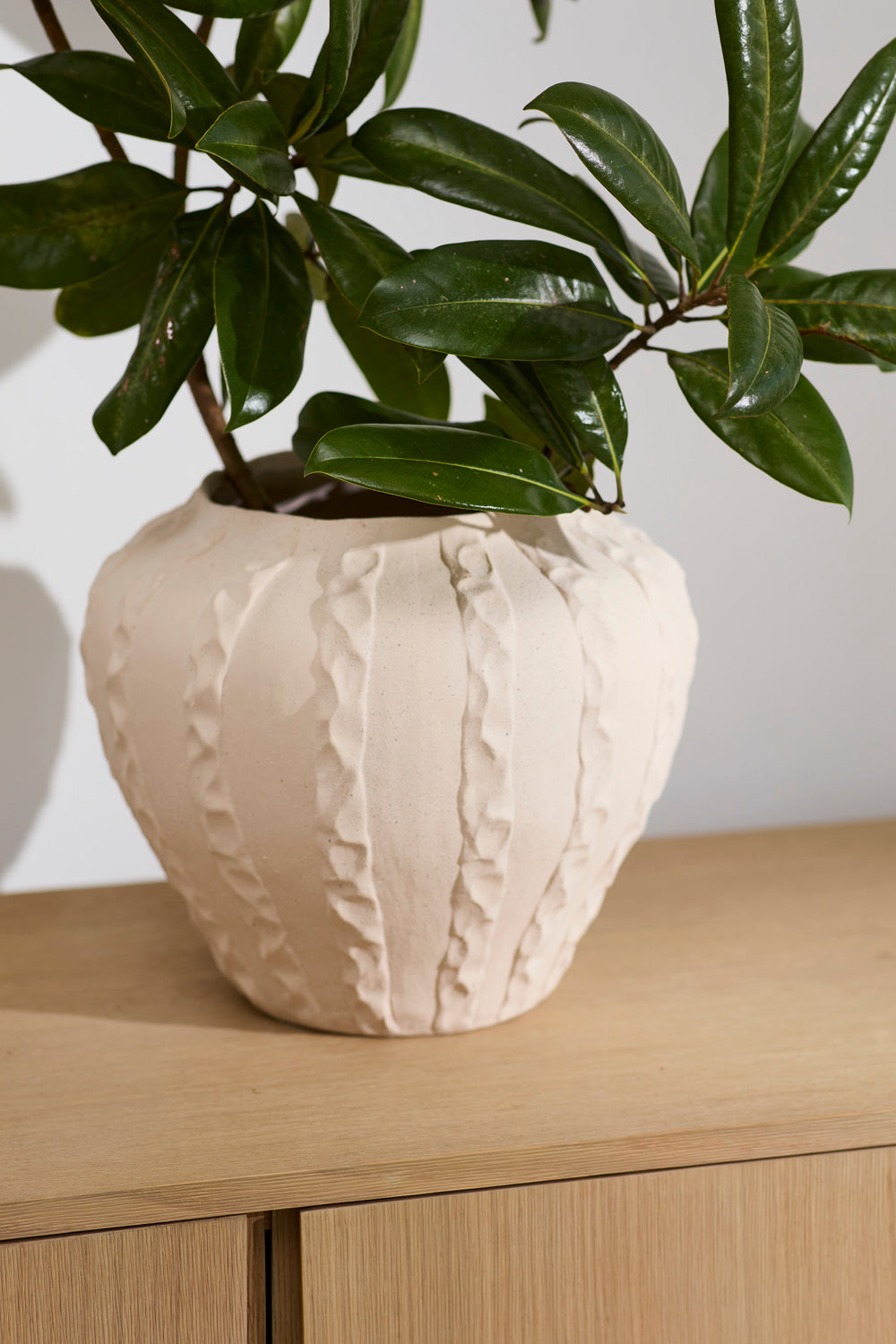 Argos Vase By Accent Decor | Vases | Modishstore - 9