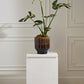 Kasra Pot By Accent Decor | Wall Decor | Modishstore - 8