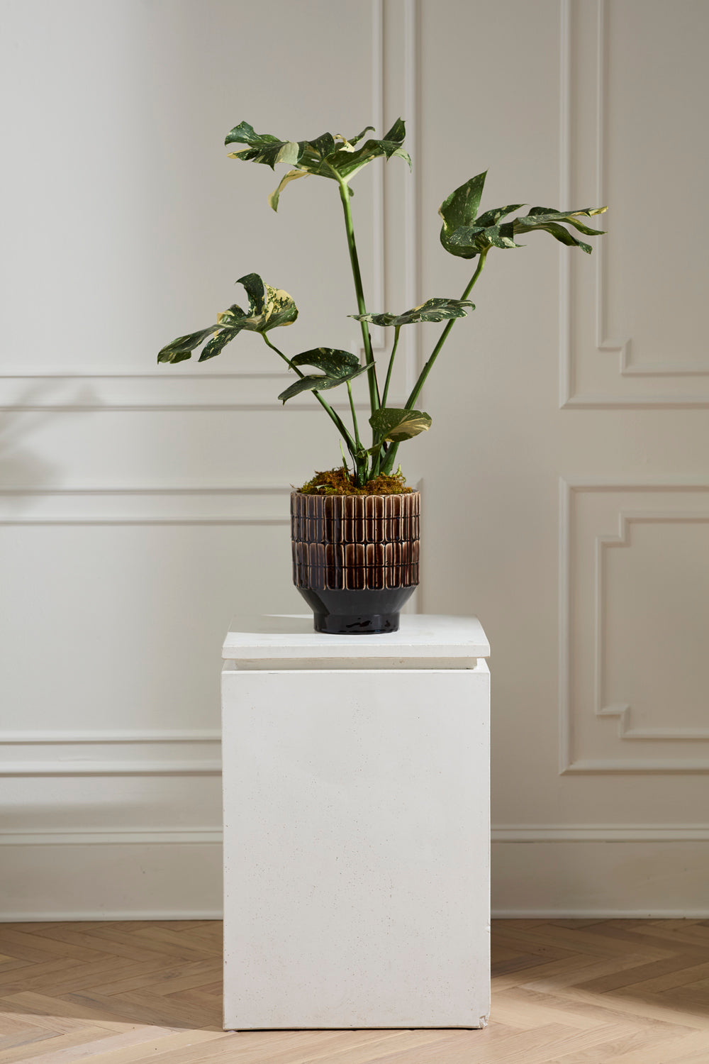 Kasra Pot By Accent Decor | Wall Decor | Modishstore - 8