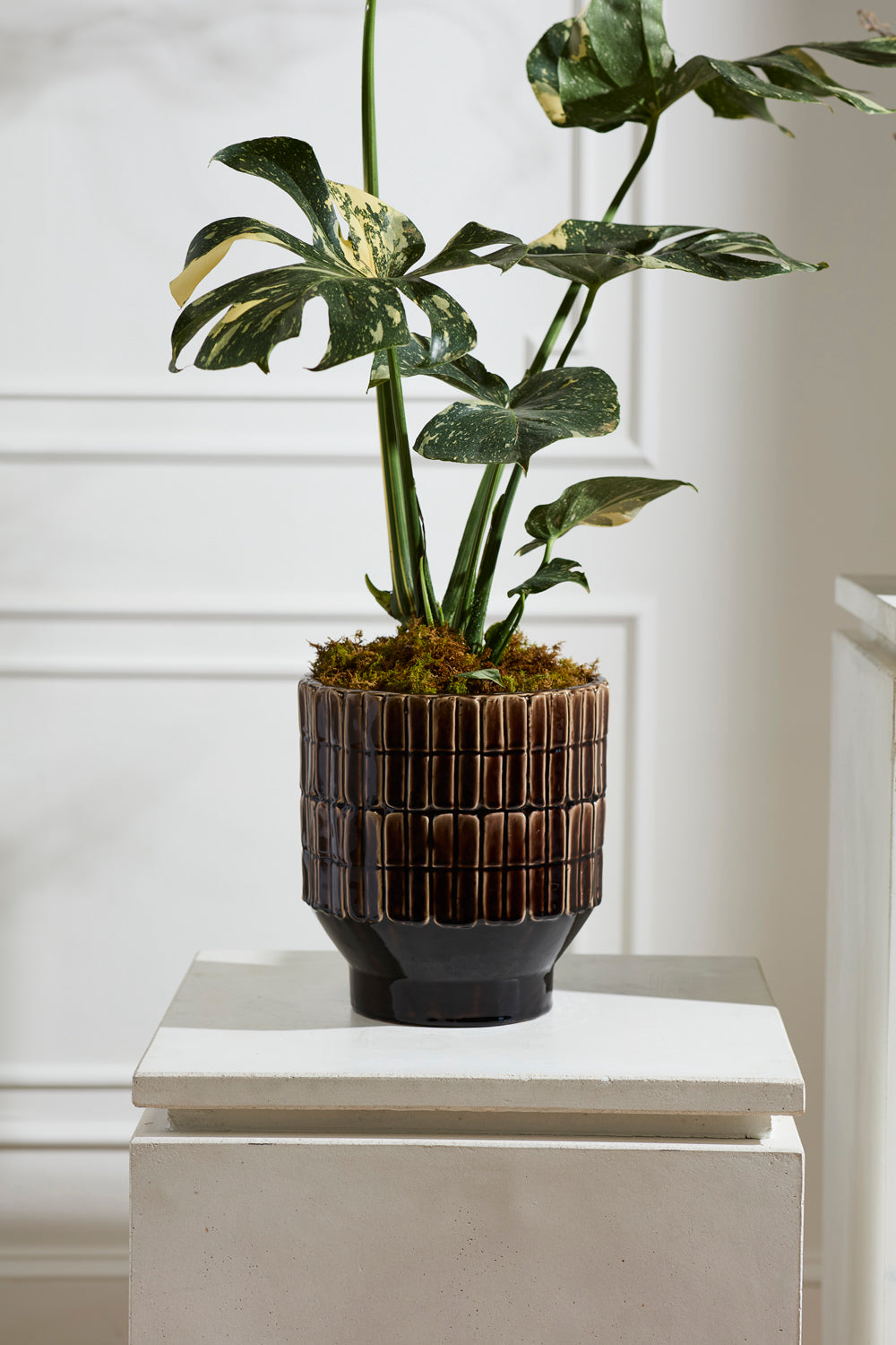 Kasra Pot By Accent Decor | Wall Decor | Modishstore - 9