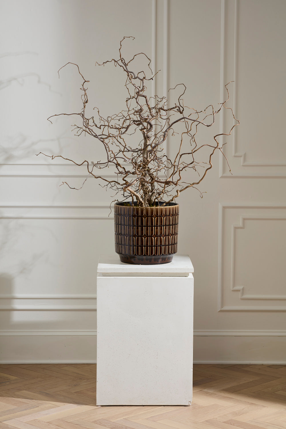 Kasra Pot By Accent Decor | Wall Decor | Modishstore - 5