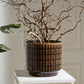 Kasra Pot By Accent Decor | Wall Decor | Modishstore - 6