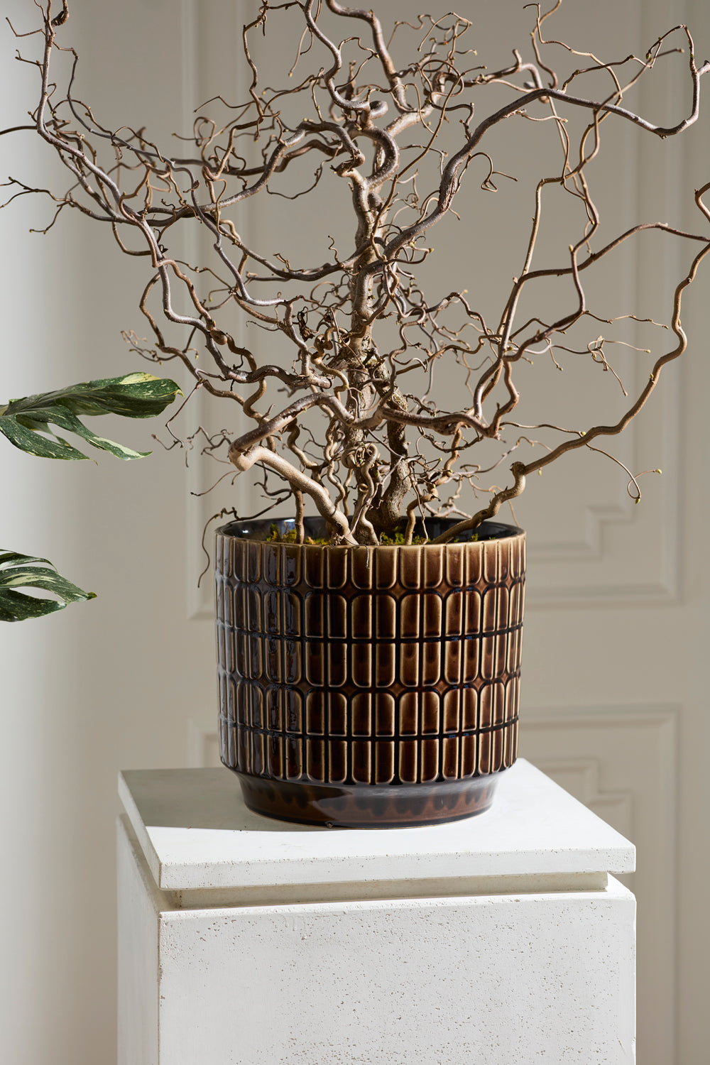 Kasra Pot By Accent Decor | Wall Decor | Modishstore - 6