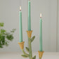 Soft Petal Candleholder - Limited Edition Set of 4 By Accent Decor | Candle Holders | Modishstore - 13